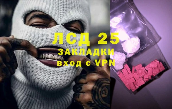 spice Богданович