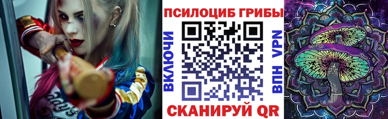 наркота  Воскресенск  Галлюциногенные грибы мицелий 